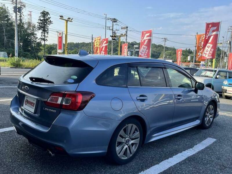 LEVORG
