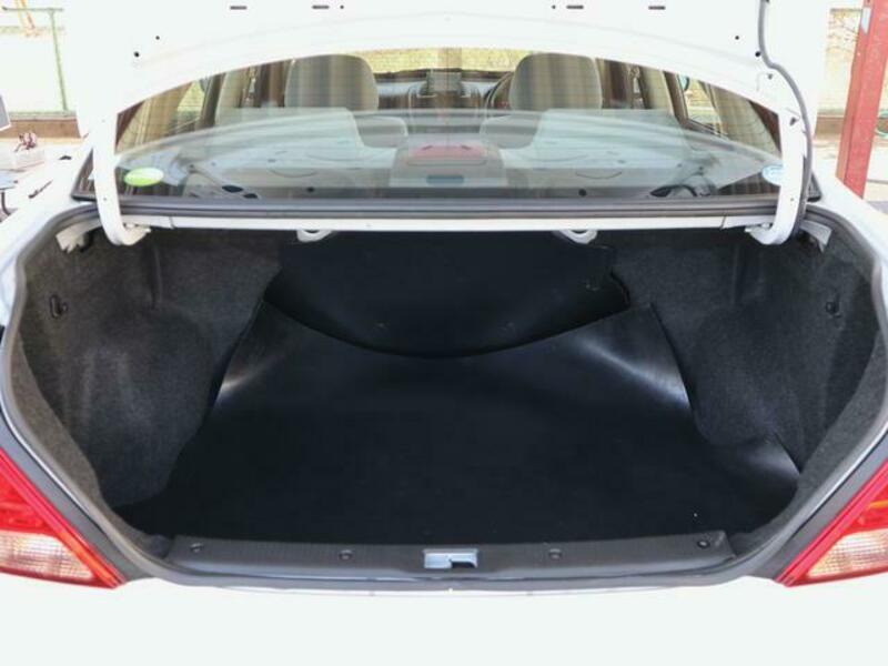 BLUEBIRD SYLPHY