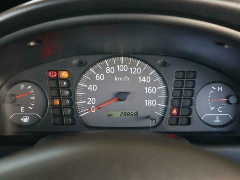BLUEBIRD SYLPHY