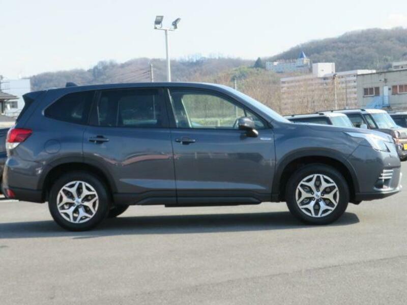 FORESTER