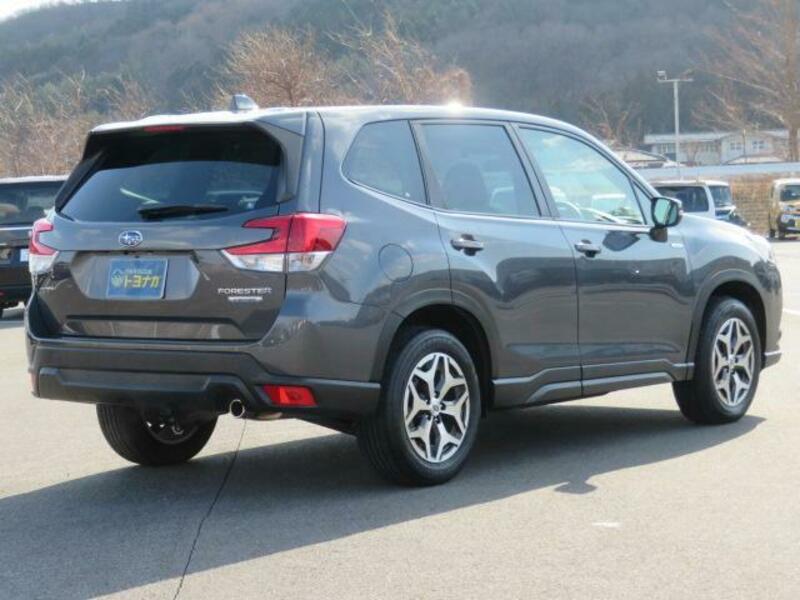 FORESTER
