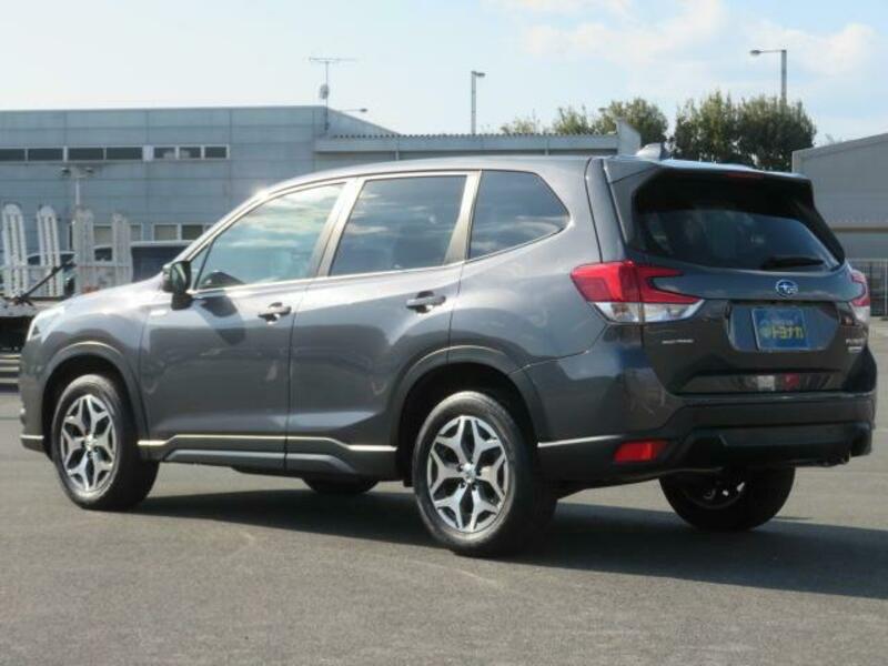 FORESTER