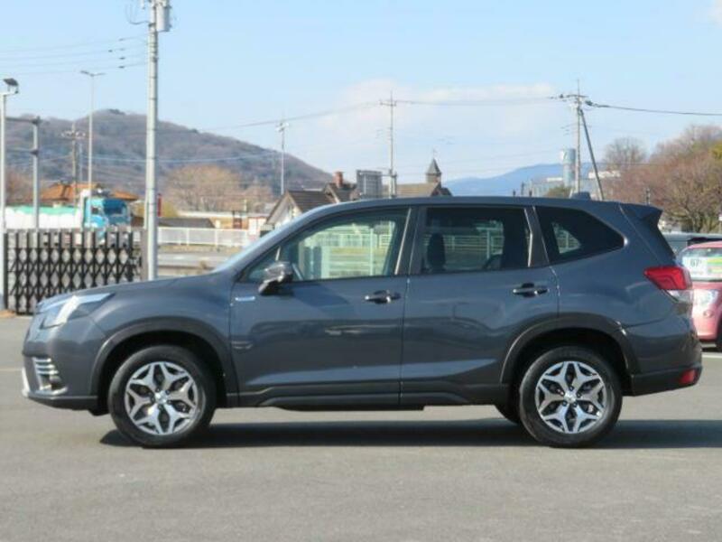 FORESTER