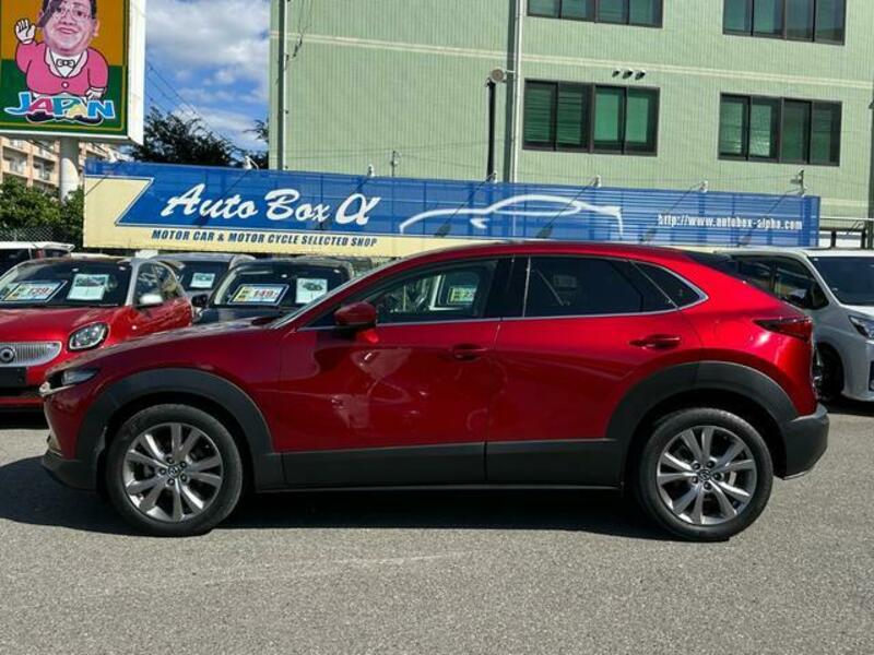 CX-30