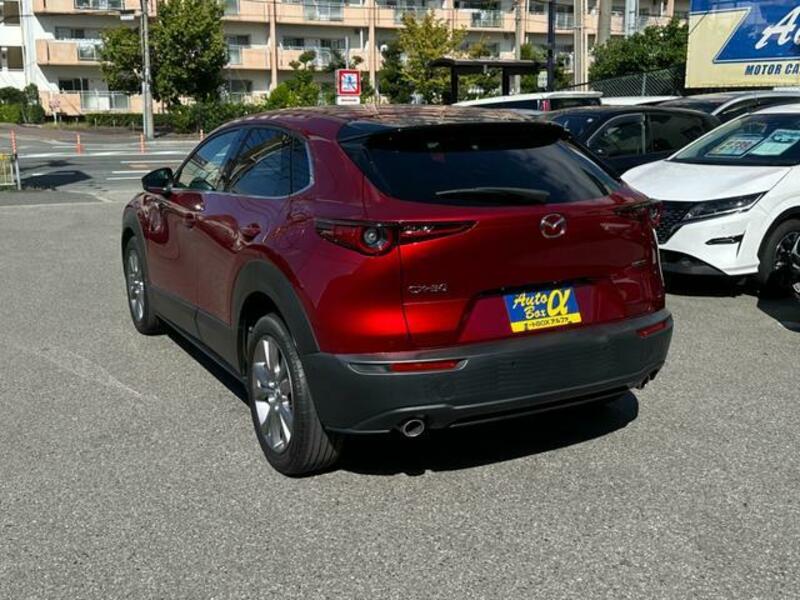 CX-30