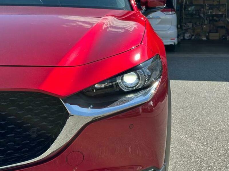 CX-30