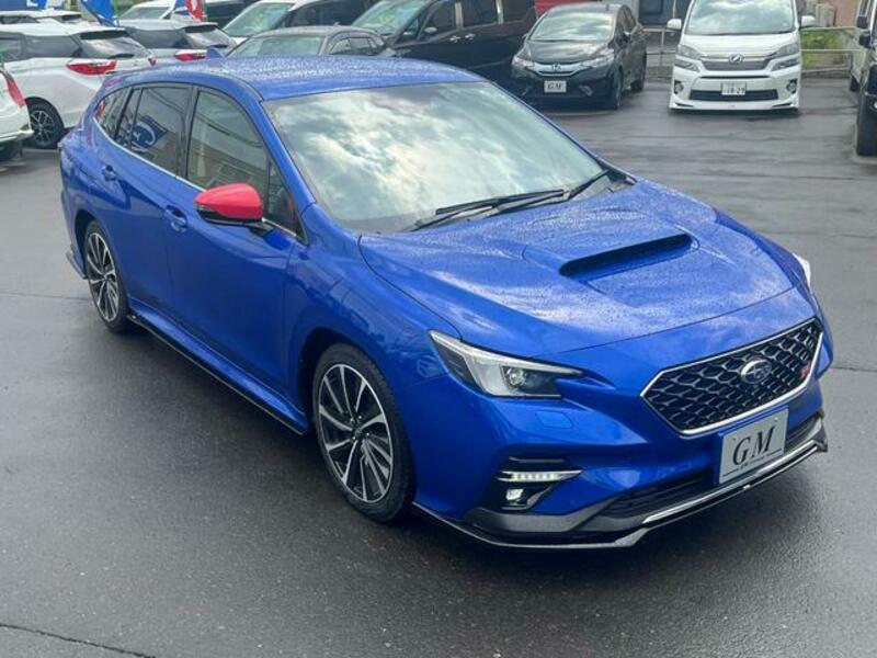 LEVORG