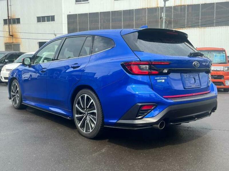 LEVORG