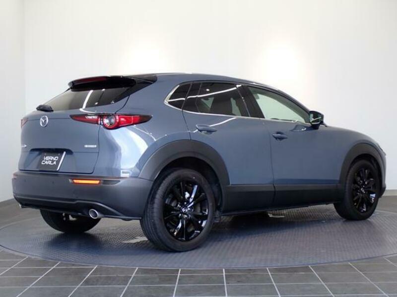 CX-30