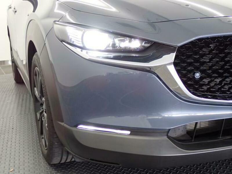CX-30