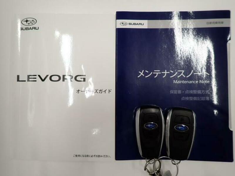 LEVORG