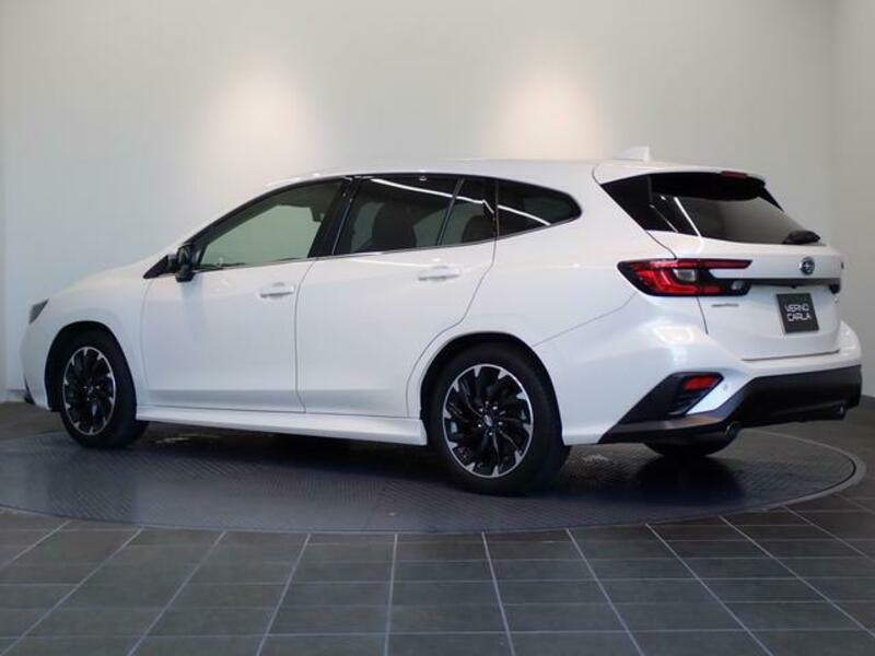 LEVORG