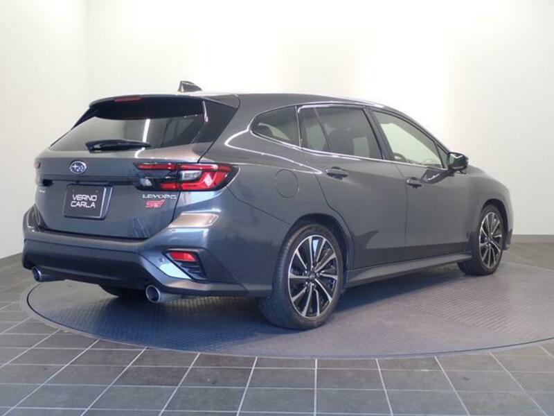 LEVORG