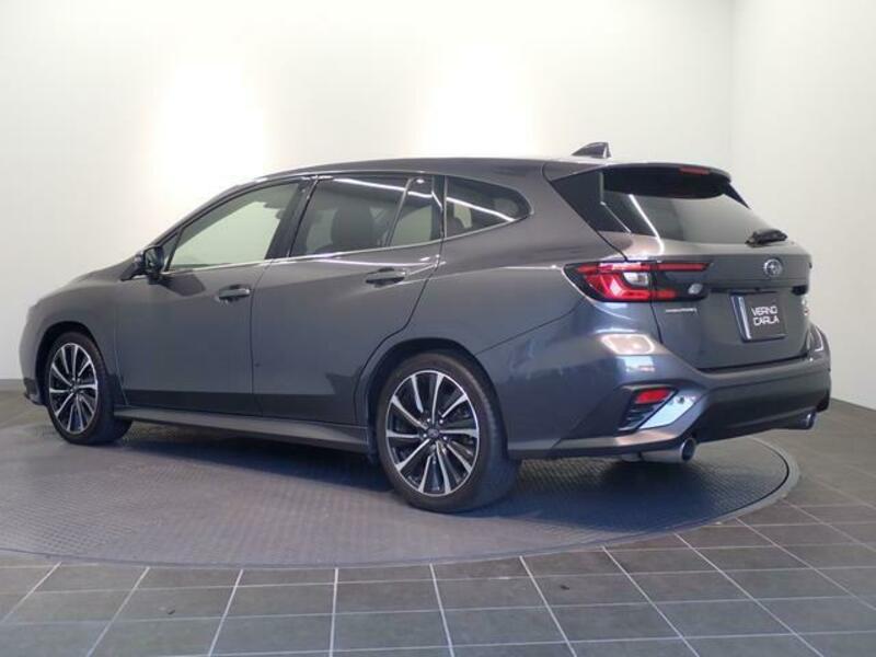 LEVORG