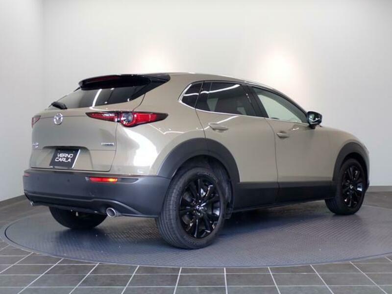 CX-30