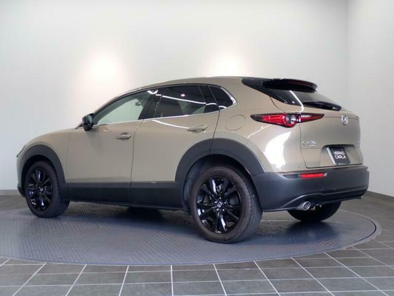 CX-30
