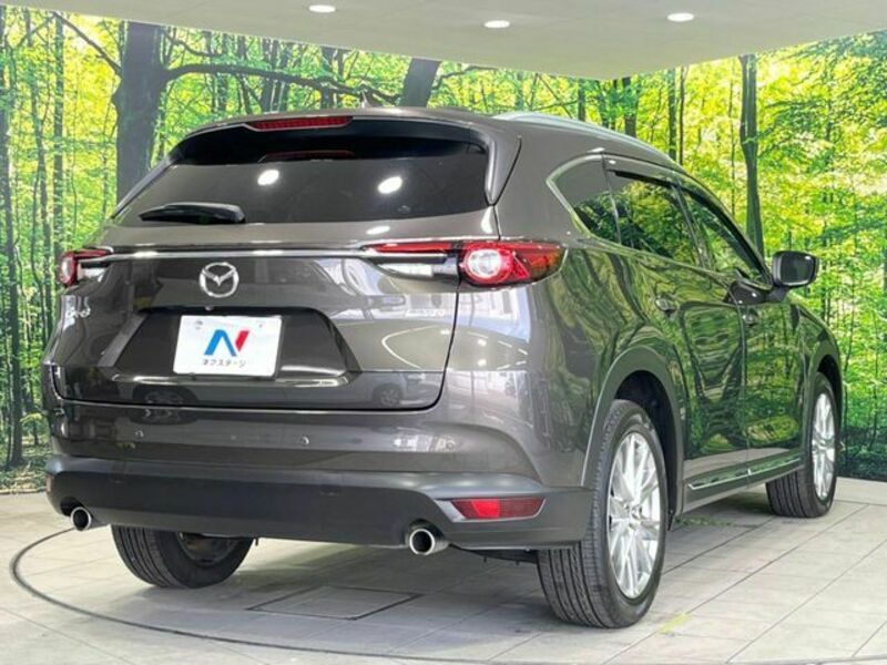 CX-8