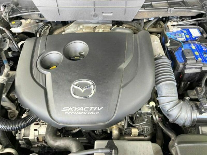 CX-8