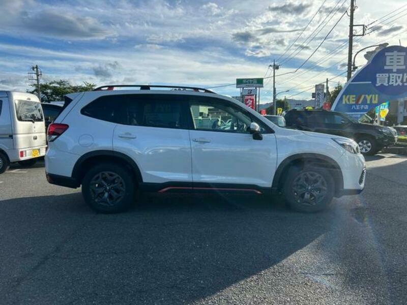 FORESTER