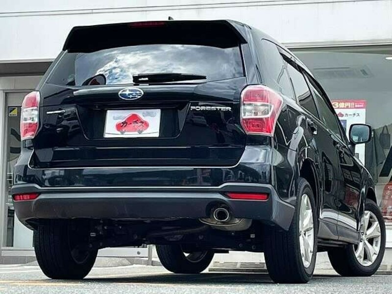 FORESTER