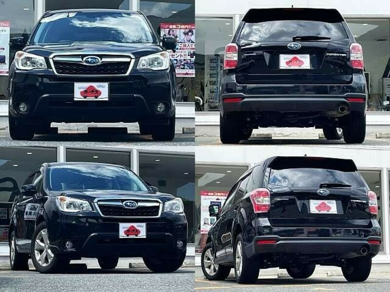 FORESTER