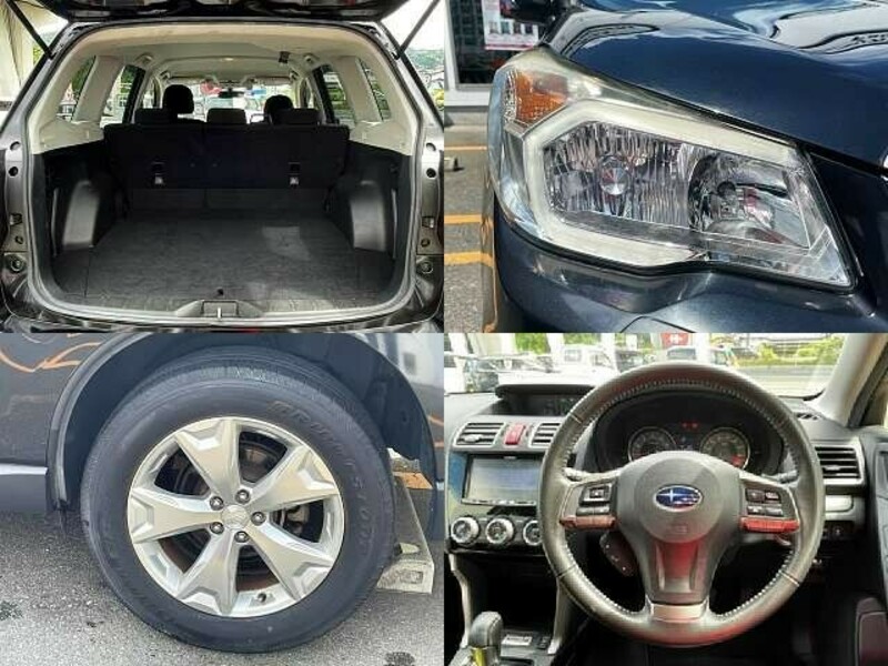 FORESTER