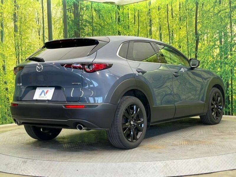 CX-30