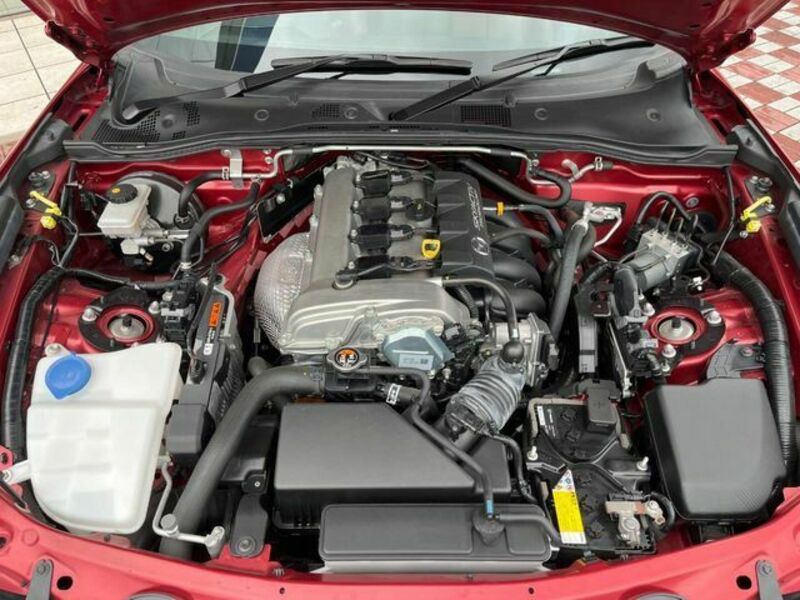 ROADSTER RF
