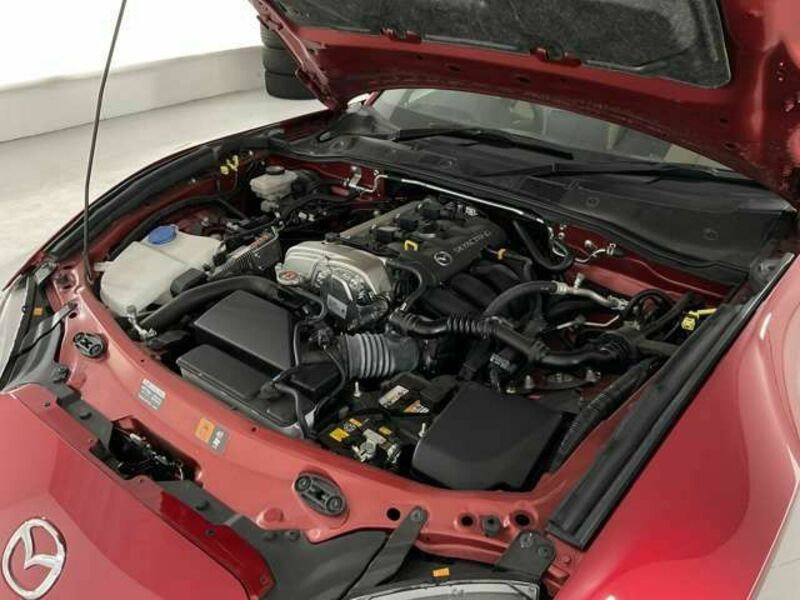 ROADSTER RF
