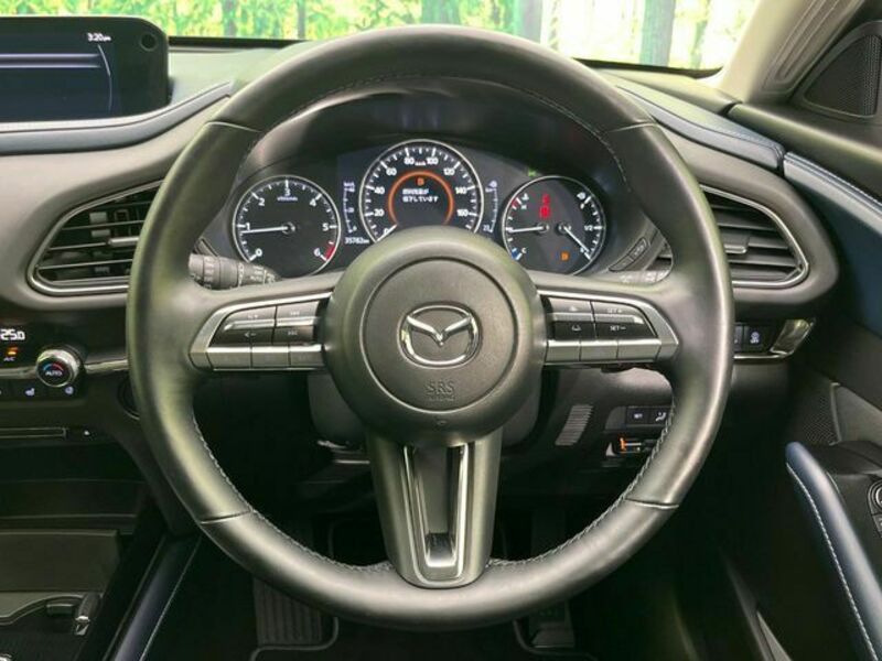 CX-30
