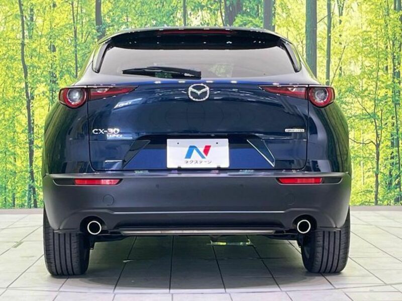 CX-30