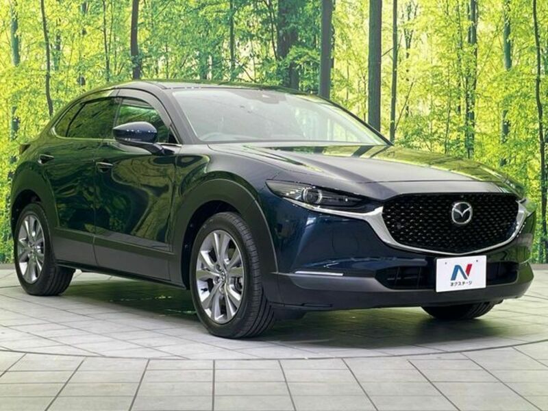 CX-30