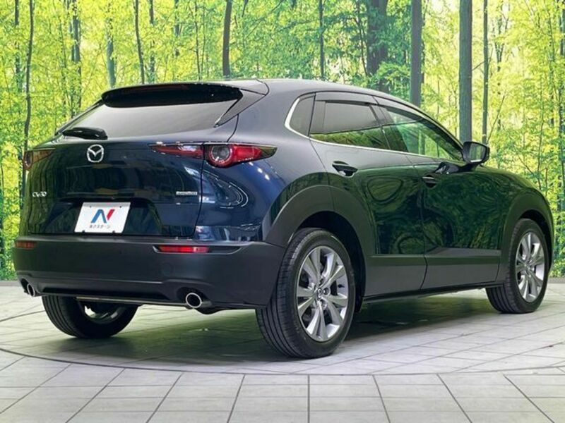 CX-30