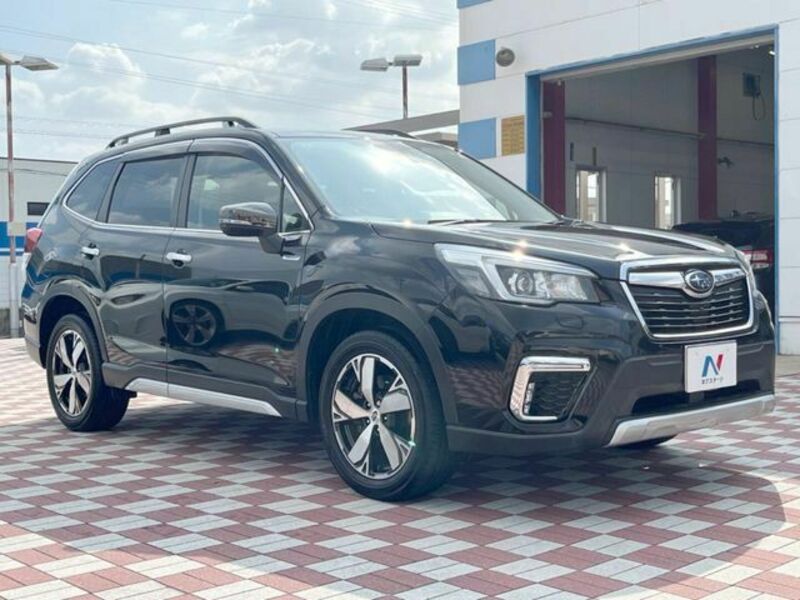 FORESTER