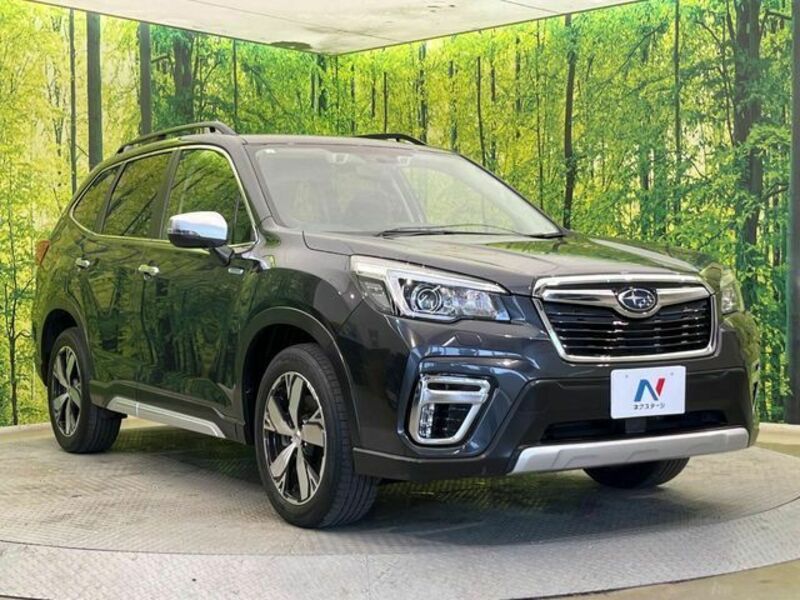 FORESTER