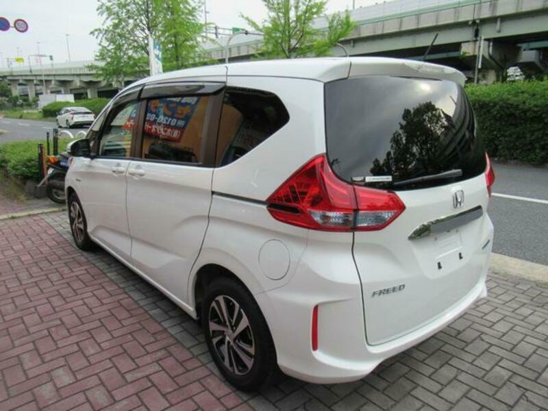 FREED HYBRID
