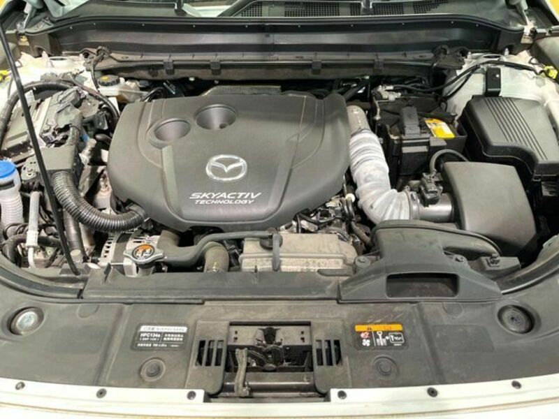 CX-8