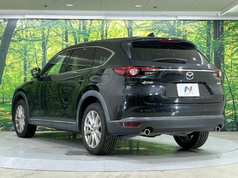 CX-8
