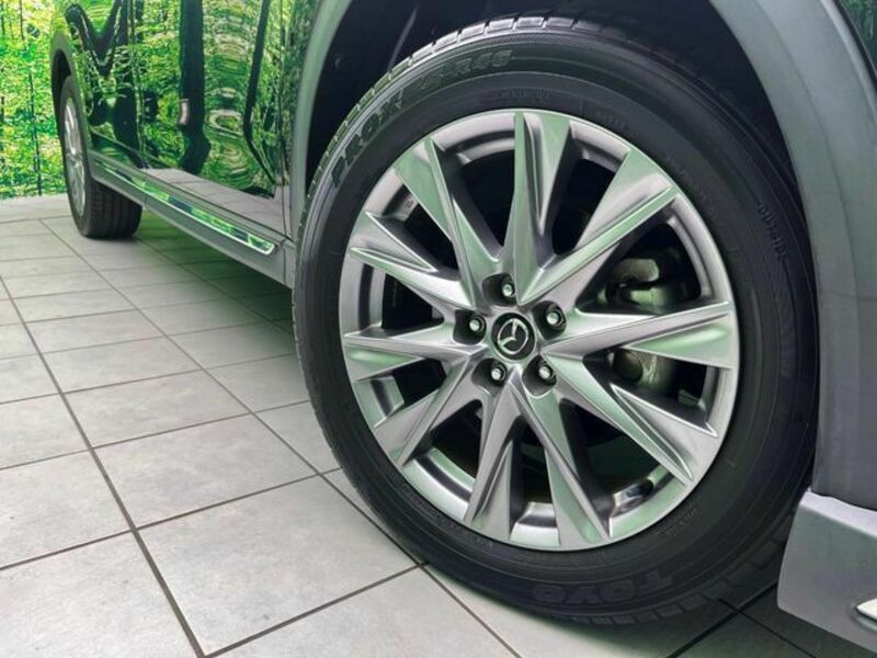 CX-8