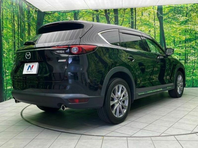 CX-8