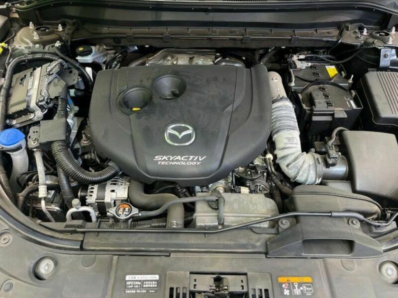 CX-8