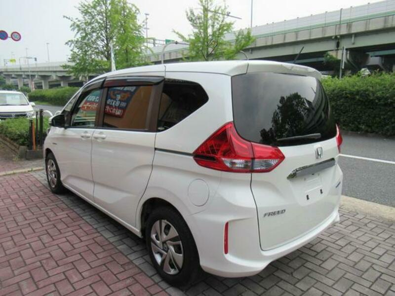FREED HYBRID
