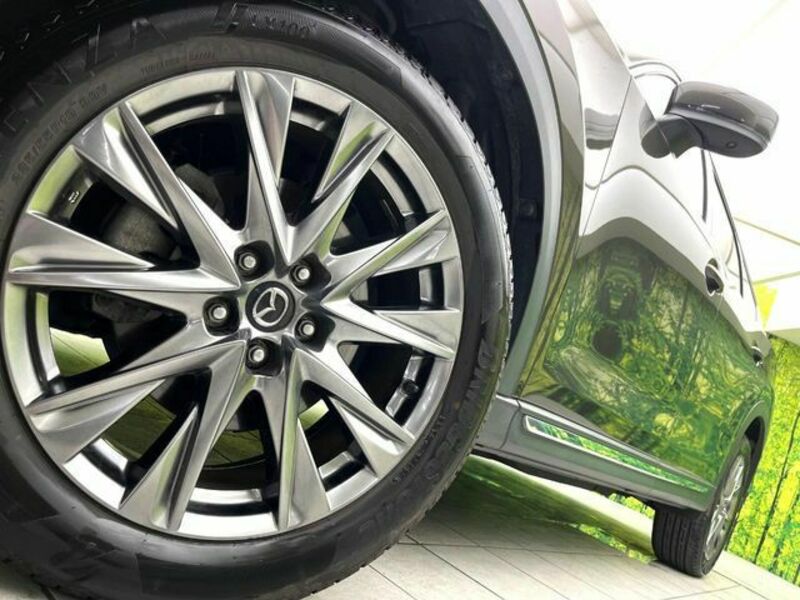 CX-8