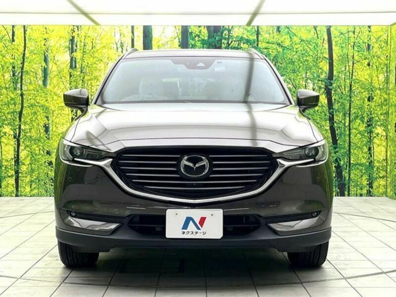 CX-8