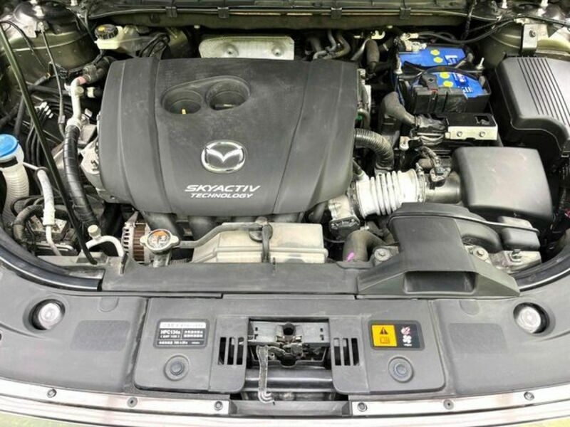 CX-8