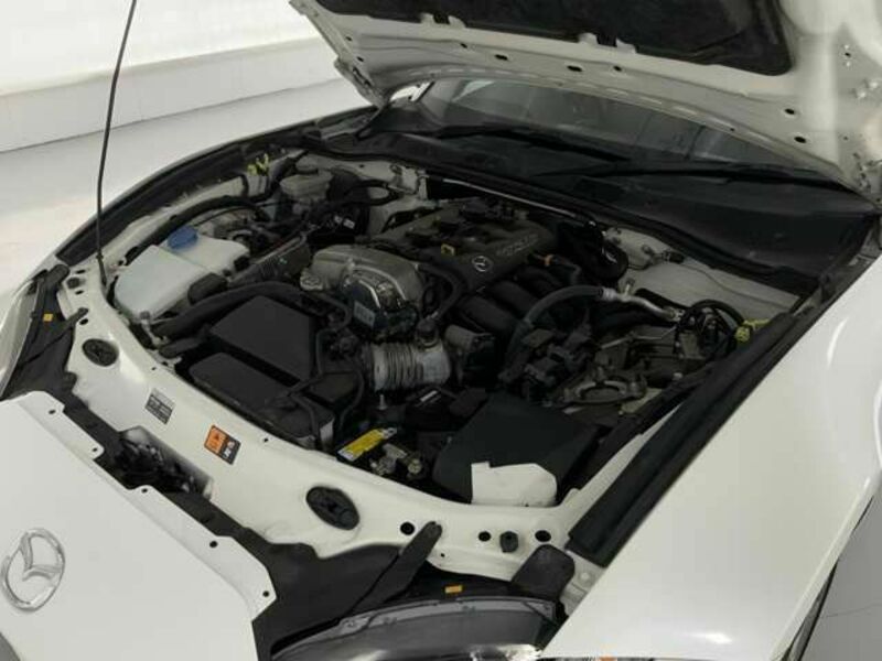 ROADSTER RF