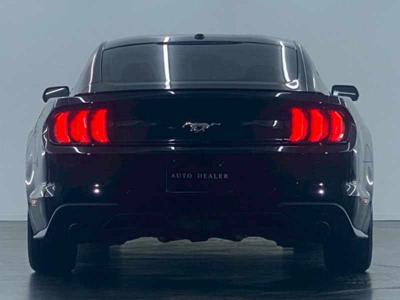 MUSTANG