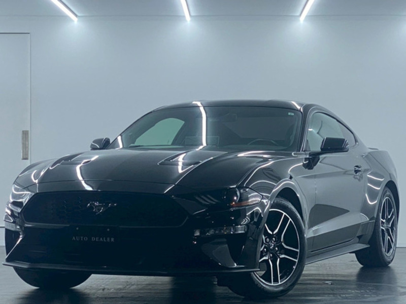 MUSTANG-0