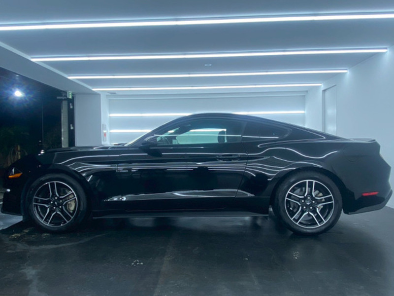 MUSTANG