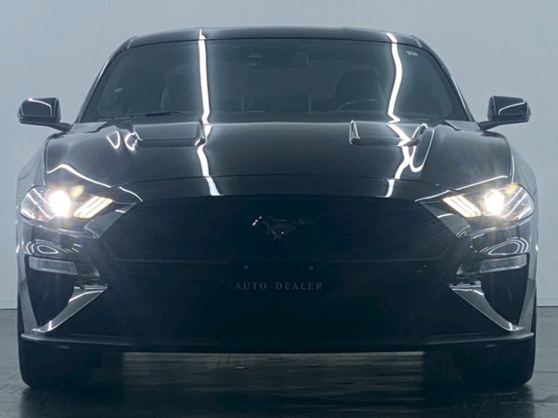 MUSTANG